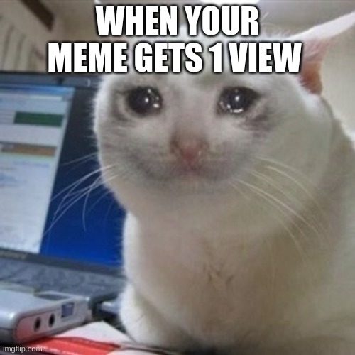 ONE VIEW :( | WHEN YOUR MEME GETS 1 VIEW | image tagged in crying cat,sad,crap | made w/ Imgflip meme maker