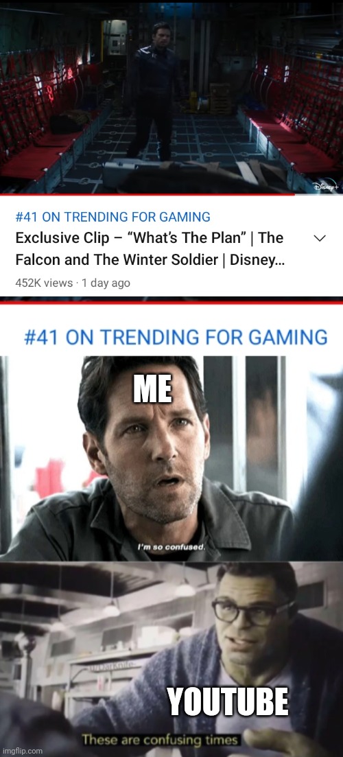 ME; YOUTUBE | image tagged in i'm so confused these are confusing times ant-man and hulk | made w/ Imgflip meme maker
