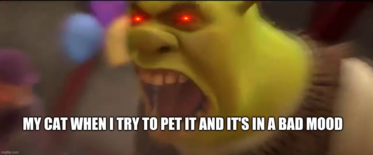 CATS | MY CAT WHEN I TRY TO PET IT AND IT'S IN A BAD MOOD | image tagged in shrek screaming,pet,cat | made w/ Imgflip meme maker