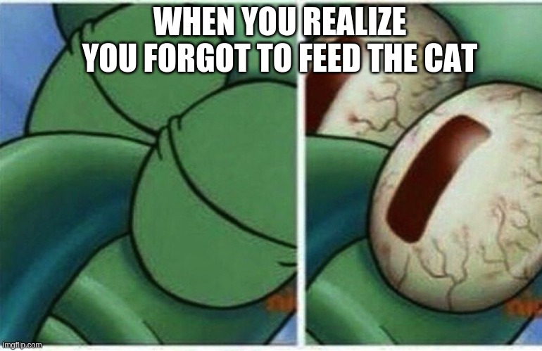 I forgot... | WHEN YOU REALIZE YOU FORGOT TO FEED THE CAT | image tagged in squidward,sleep,awake,dumb,cats | made w/ Imgflip meme maker