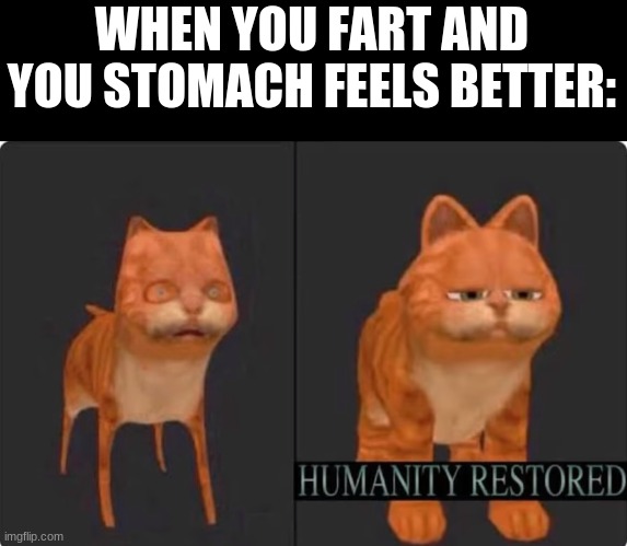 ahhh nice. |  WHEN YOU FART AND YOU STOMACH FEELS BETTER: | image tagged in humanity restored | made w/ Imgflip meme maker