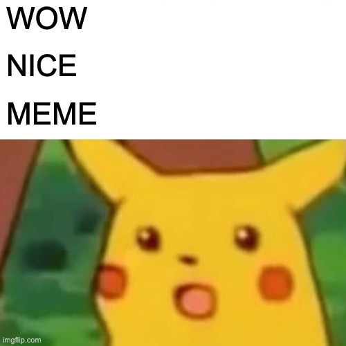 Surprised Pikachu Meme | WOW NICE MEME | image tagged in memes,surprised pikachu | made w/ Imgflip meme maker