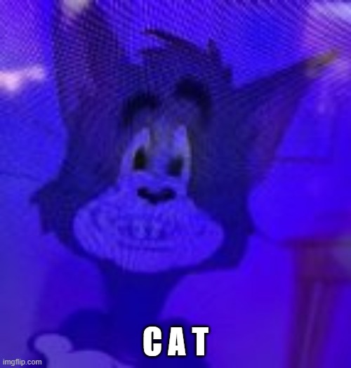 C A T | made w/ Imgflip meme maker