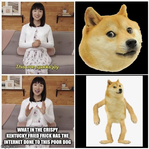 I love this little doge | WHAT IN THE CRISPY KENTUCKY FRIED FRICK HAS THE INTERNET DONE TO THIS POOR DOG | image tagged in marie kondo spark joy,doge,memes | made w/ Imgflip meme maker