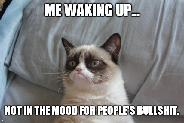 Grumpy Cat Bed |  ME WAKING UP... NOT IN THE MOOD FOR PEOPLE'S BULLSHIT. | image tagged in memes,grumpy cat bed,grumpy cat | made w/ Imgflip meme maker