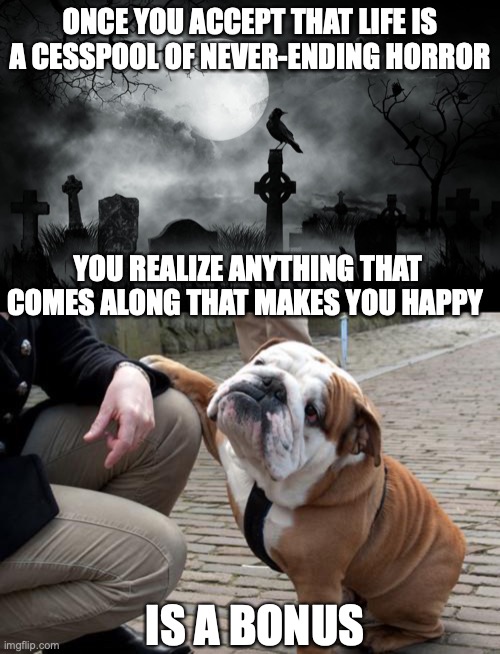 ONCE YOU ACCEPT THAT LIFE IS A CESSPOOL OF NEVER-ENDING HORROR; YOU REALIZE ANYTHING THAT COMES ALONG THAT MAKES YOU HAPPY; IS A BONUS | image tagged in horror cemetary,sympathetic bulldog | made w/ Imgflip meme maker