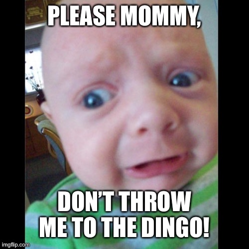 Terrified of Reality Baby | PLEASE MOMMY, DON’T THROW ME TO THE DINGO! | image tagged in terrified of reality baby | made w/ Imgflip meme maker