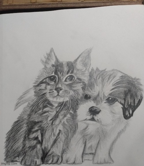 I used graphite pencils for this drawing.Wow what a difference it makes to the picture! I've been using dollar store pencils lol | image tagged in kitten,puppy,drawing | made w/ Imgflip meme maker