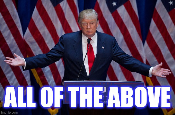 Donald Trump | ALL OF THE ABOVE | image tagged in donald trump | made w/ Imgflip meme maker