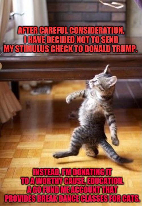 Cool Cat Stroll | AFTER CAREFUL CONSIDERATION, I HAVE DECIDED NOT TO SEND MY STIMULUS CHECK TO DONALD TRUMP. INSTEAD, I'M DONATING IT TO A WORTHY CAUSE, EDUCATION. A GO FUND ME ACCOUNT THAT PROVIDES BREAK DANCE CLASSES FOR CATS. | image tagged in memes,cool cat stroll | made w/ Imgflip meme maker