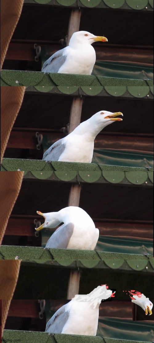 Inhailing Seagull Extreme | image tagged in memes,inhaling seagull,screaming seagull,dead,fun,funny memes | made w/ Imgflip meme maker