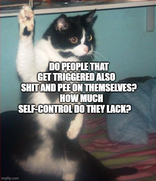 question cat |  DO PEOPLE THAT GET TRIGGERED ALSO    SHIT AND PEE ON THEMSELVES?    HOW MUCH SELF-CONTROL DO THEY LACK? | image tagged in question cat | made w/ Imgflip meme maker