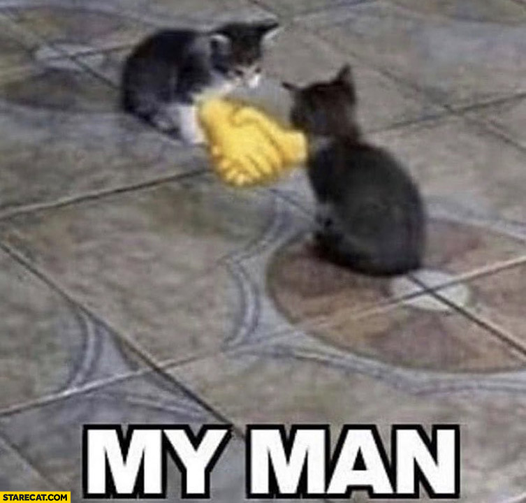 Cats shaking hands Blank Meme Template