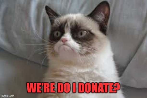 Grumpy cat | WE’RE DO I DONATE? | image tagged in grumpy cat | made w/ Imgflip meme maker
