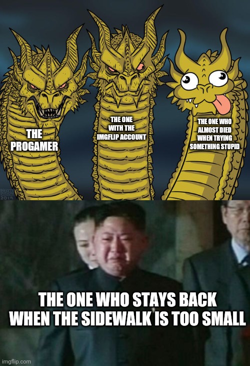 Every group of friends has those | THE ONE WITH THE IMGFLIP ACCOUNT; THE ONE WHO ALMOST DIED WHEN TRYING SOMETHING STUPID; THE PROGAMER; THE ONE WHO STAYS BACK WHEN THE SIDEWALK IS TOO SMALL | image tagged in three-headed dragon,memes,kim jong un sad | made w/ Imgflip meme maker