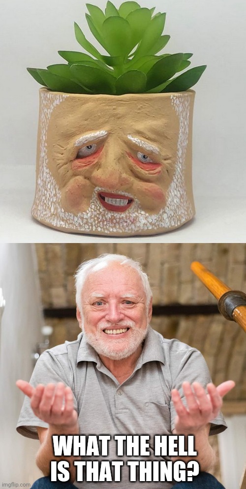 THAT PLANT POT LOOKS LIKE IT'S IN ALOT OF PAIN | WHAT THE HELL IS THAT THING? | image tagged in hide the pain harold,harold,plant,wtf | made w/ Imgflip meme maker