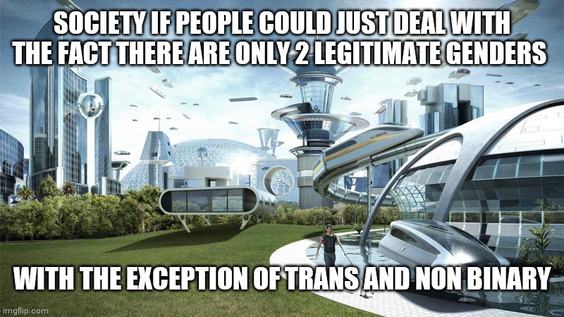 mod note: dont disapprove i wanna hear what ppl say | SOCIETY IF PEOPLE COULD JUST DEAL WITH THE FACT THERE ARE ONLY 2 LEGITIMATE GENDERS; WITH THE EXCEPTION OF TRANS AND NON BINARY | image tagged in the future world if | made w/ Imgflip meme maker