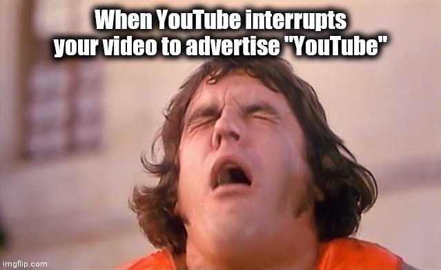 Sex Face | When YouTube interrupts your video to advertise "YouTube" | image tagged in sex face | made w/ Imgflip meme maker