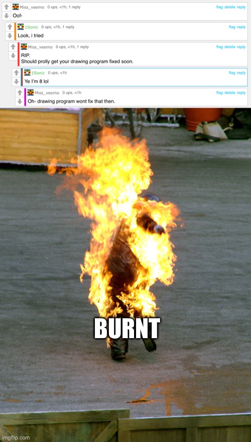 BURNT | image tagged in burnt | made w/ Imgflip meme maker