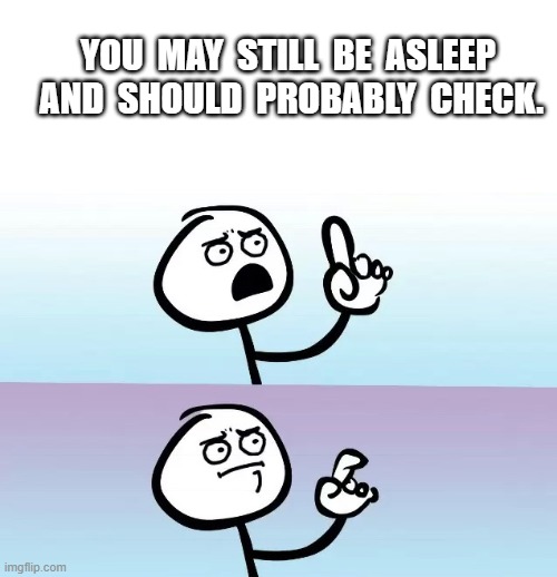 YOU  MAY  STILL  BE  ASLEEP  AND  SHOULD  PROBABLY  CHECK. | image tagged in memes | made w/ Imgflip meme maker