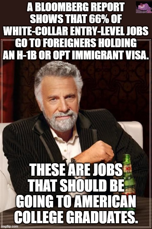 in 2019, Amazon and Google alone hired almost 4,000 foreigners this way. | A BLOOMBERG REPORT SHOWS THAT 66% OF WHITE-COLLAR ENTRY-LEVEL JOBS GO TO FOREIGNERS HOLDING AN H-1B OR OPT IMMIGRANT VISA. THESE ARE JOBS THAT SHOULD BE GOING TO AMERICAN COLLEGE GRADUATES. | image tagged in memes,the most interesting man in the world | made w/ Imgflip meme maker