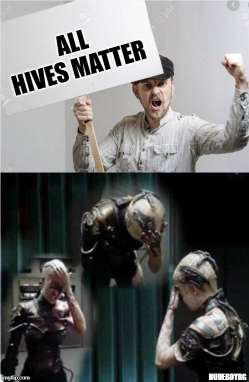 All Hives Matter | RUDEBOYRG | image tagged in all lives matter,all hives matter,borg,star trek | made w/ Imgflip meme maker