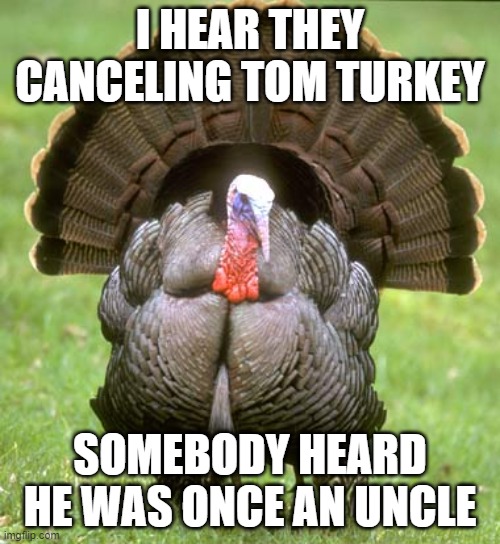 Turkey Meme | I HEAR THEY CANCELING TOM TURKEY; SOMEBODY HEARD HE WAS ONCE AN UNCLE | image tagged in memes,turkey | made w/ Imgflip meme maker