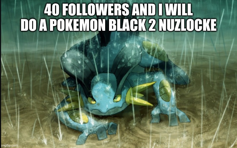 And somehow I lose followers | 40 FOLLOWERS AND I WILL DO A POKEMON BLACK 2 NUZLOCKE | image tagged in the best swampert 999 | made w/ Imgflip meme maker