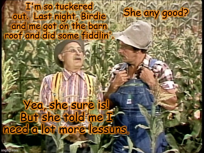 A lot more Heeing than A Hawing | I'm so tuckered out.  Last night, Birdie and me got on the barn roof and did some fiddlin'. She any good? Yea, she sure is!
But she told me I need a lot more lessuns. | image tagged in too funny | made w/ Imgflip meme maker