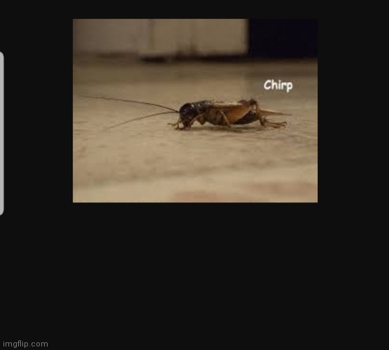 Cricket chirp | image tagged in cricket chirp | made w/ Imgflip meme maker