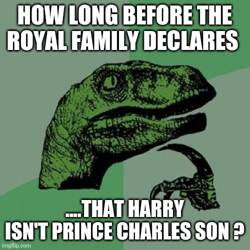 Philosoraptor Meme | HOW LONG BEFORE THE ROYAL FAMILY DECLARES; ....THAT HARRY ISN'T PRINCE CHARLES SON ? | image tagged in memes,philosoraptor | made w/ Imgflip meme maker