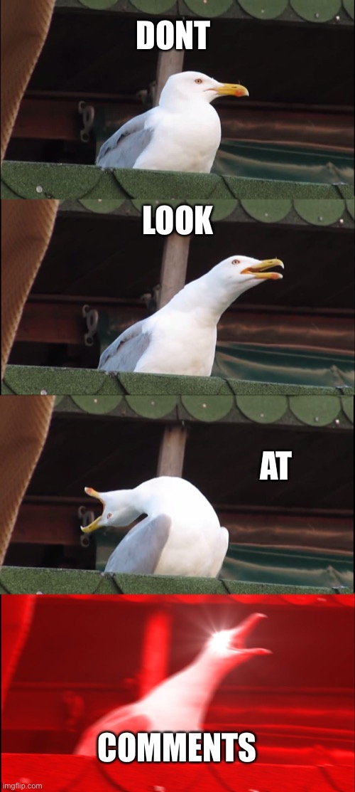 Dont look at this meme | DONT; LOOK; AT; COMMENTS | image tagged in memes,inhaling seagull | made w/ Imgflip meme maker