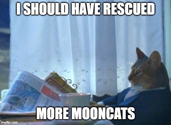 Cat newspaper | I SHOULD HAVE RESCUED; MORE MOONCATS | image tagged in cat newspaper | made w/ Imgflip meme maker