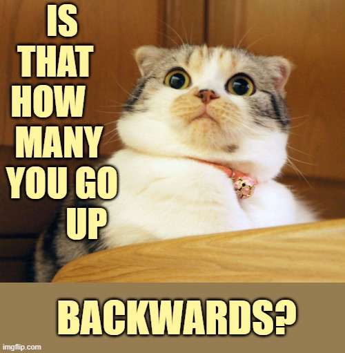 IS THAT   HOW     MANY  YOU GO        UP BACKWARDS? | made w/ Imgflip meme maker