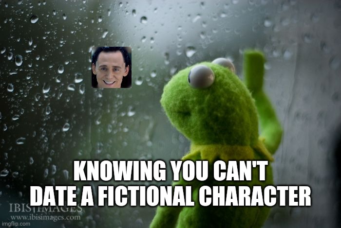 kermit window | KNOWING YOU CAN'T DATE A FICTIONAL CHARACTER | image tagged in kermit window | made w/ Imgflip meme maker