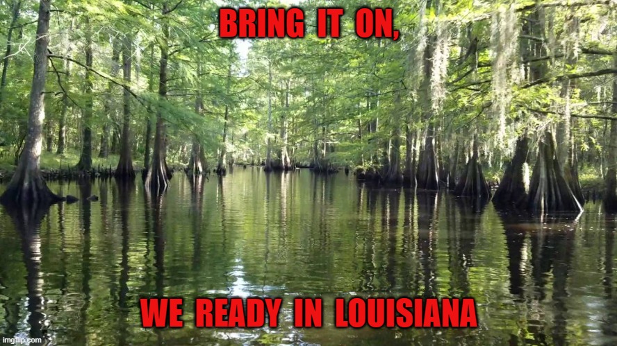 BRING  IT  ON, WE  READY  IN  LOUISIANA | image tagged in louisiana | made w/ Imgflip meme maker