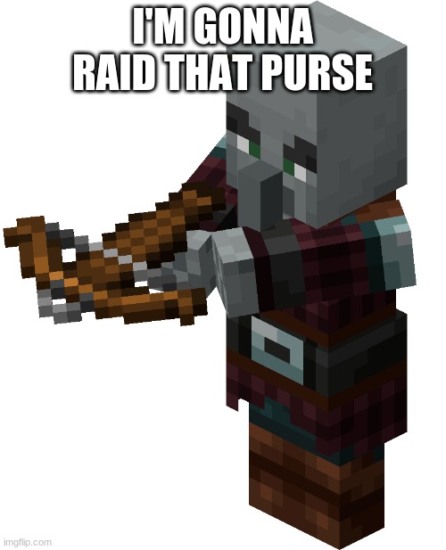 Pillager | I'M GONNA RAID THAT PURSE | image tagged in pillager | made w/ Imgflip meme maker