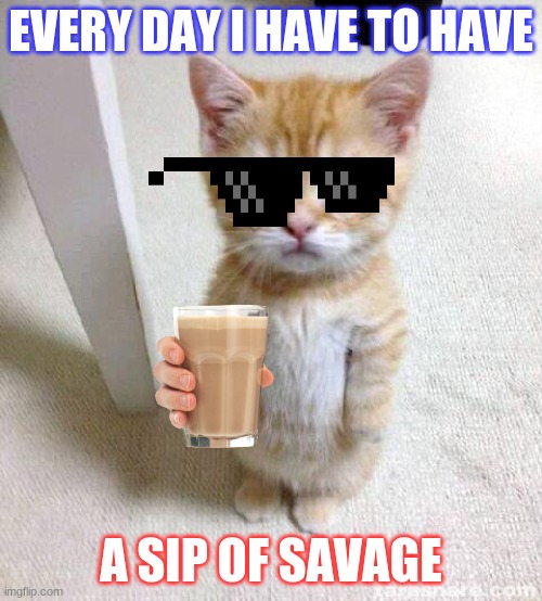 savage cat | EVERY DAY I HAVE TO HAVE; A SIP OF SAVAGE | image tagged in memes,cute cat,savage memes,karens | made w/ Imgflip meme maker