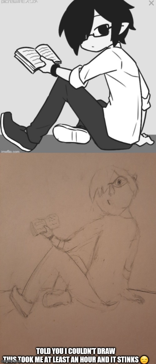 To the person who requested this: W H Y | TOLD YOU I COULDN'T DRAW
THIS TOOK ME AT LEAST AN HOUR AND IT STINKS 😑 | made w/ Imgflip meme maker