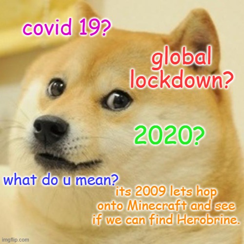 Doge | covid 19? global lockdown? 2020? what do u mean? its 2009 lets hop onto Minecraft and see if we can find Herobrine. | image tagged in memes,doge | made w/ Imgflip meme maker