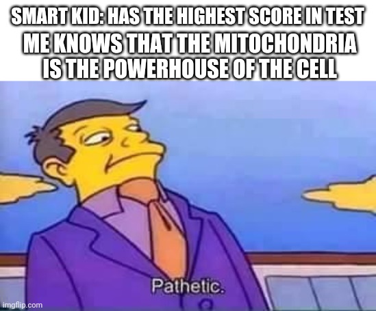 skinner pathetic | SMART KID: HAS THE HIGHEST SCORE IN TEST; ME KNOWS THAT THE MITOCHONDRIA IS THE POWERHOUSE OF THE CELL | image tagged in skinner pathetic | made w/ Imgflip meme maker