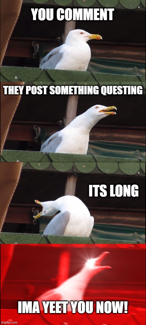 why do i do this in life. WHY | YOU COMMENT; THEY POST SOMETHING QUESTING; ITS LONG; IMA YEET YOU NOW! | image tagged in memes,inhaling seagull | made w/ Imgflip meme maker