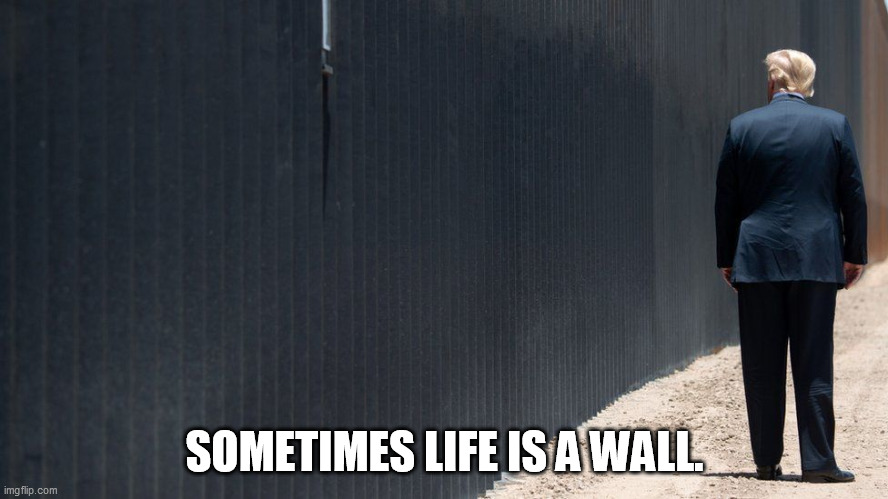 SOMETIMES LIFE IS A WALL. | image tagged in memes | made w/ Imgflip meme maker