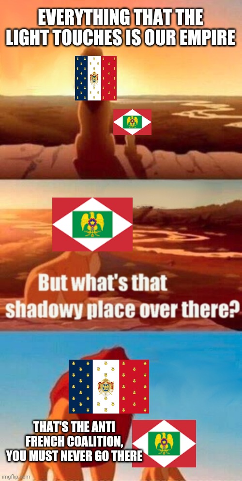 Simba Shadowy Place | EVERYTHING THAT THE LIGHT TOUCHES IS OUR EMPIRE; THAT'S THE ANTI FRENCH COALITION, YOU MUST NEVER GO THERE | image tagged in memes,simba shadowy place | made w/ Imgflip meme maker