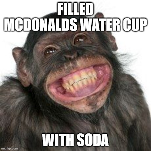 Grinning Chimp | FILLED MCDONALDS WATER CUP; WITH SODA | image tagged in grinning chimp | made w/ Imgflip meme maker
