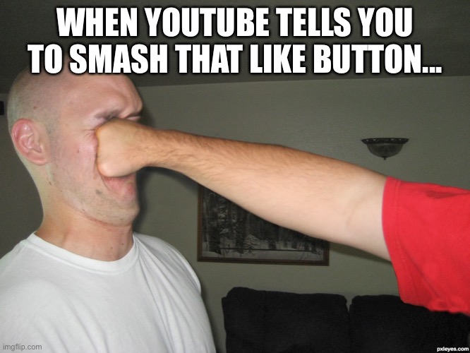 Smash |  WHEN YOUTUBE TELLS YOU TO SMASH THAT LIKE BUTTON... | image tagged in face punch | made w/ Imgflip meme maker