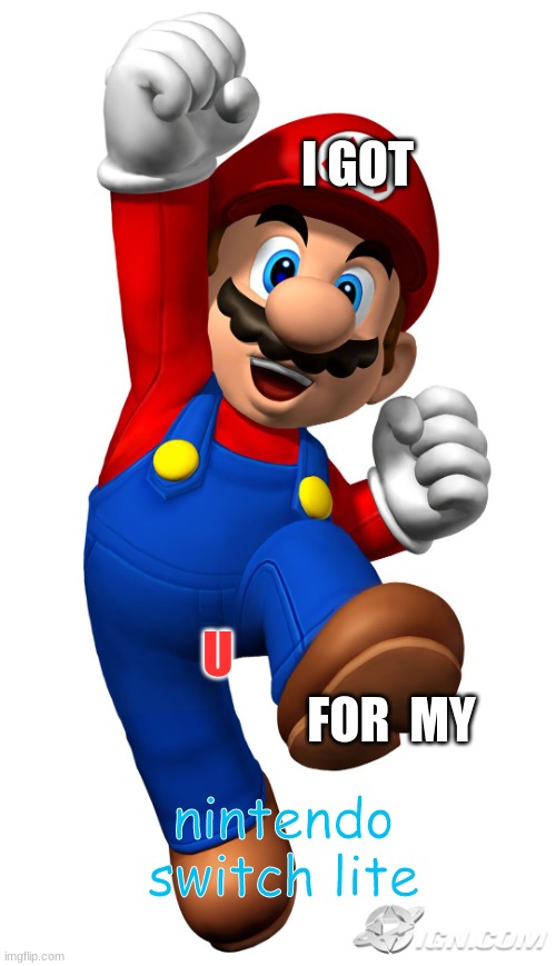 Super Mario | I GOT; U; FOR  MY; nintendo switch lite | image tagged in super mario | made w/ Imgflip meme maker