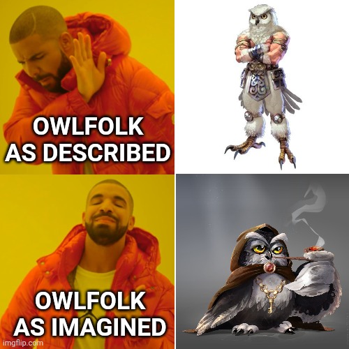 D&D Owlfolk As Described vs As Imagined | OWLFOLK AS DESCRIBED; OWLFOLK AS IMAGINED | image tagged in memes,drake hotline bling,dnd,owl,owls | made w/ Imgflip meme maker