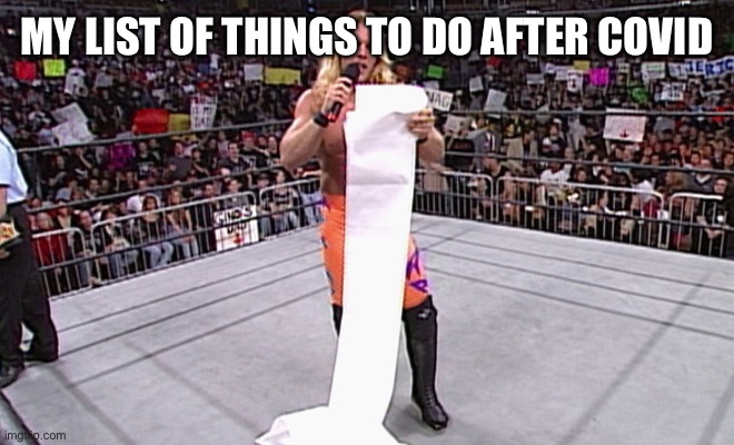 wwe long list | MY LIST OF THINGS TO DO AFTER COVID | image tagged in wwe long list | made w/ Imgflip meme maker