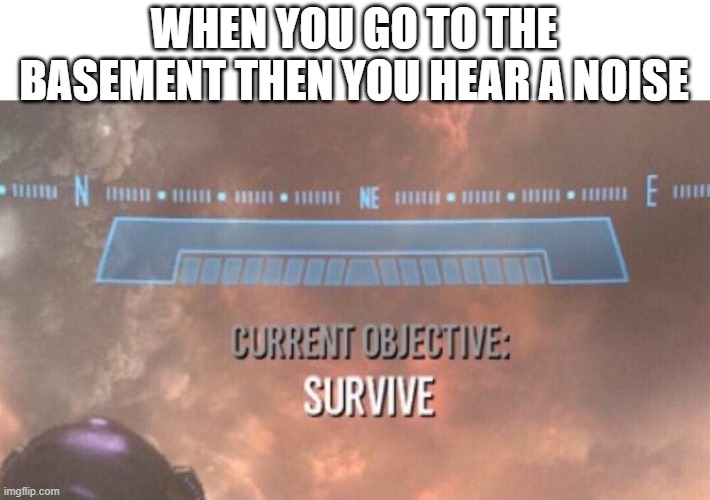 Current Objective: Survive | WHEN YOU GO TO THE BASEMENT THEN YOU HEAR A NOISE | image tagged in current objective survive | made w/ Imgflip meme maker